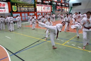 Taekwondo Toruń Działdowo Mława (6)